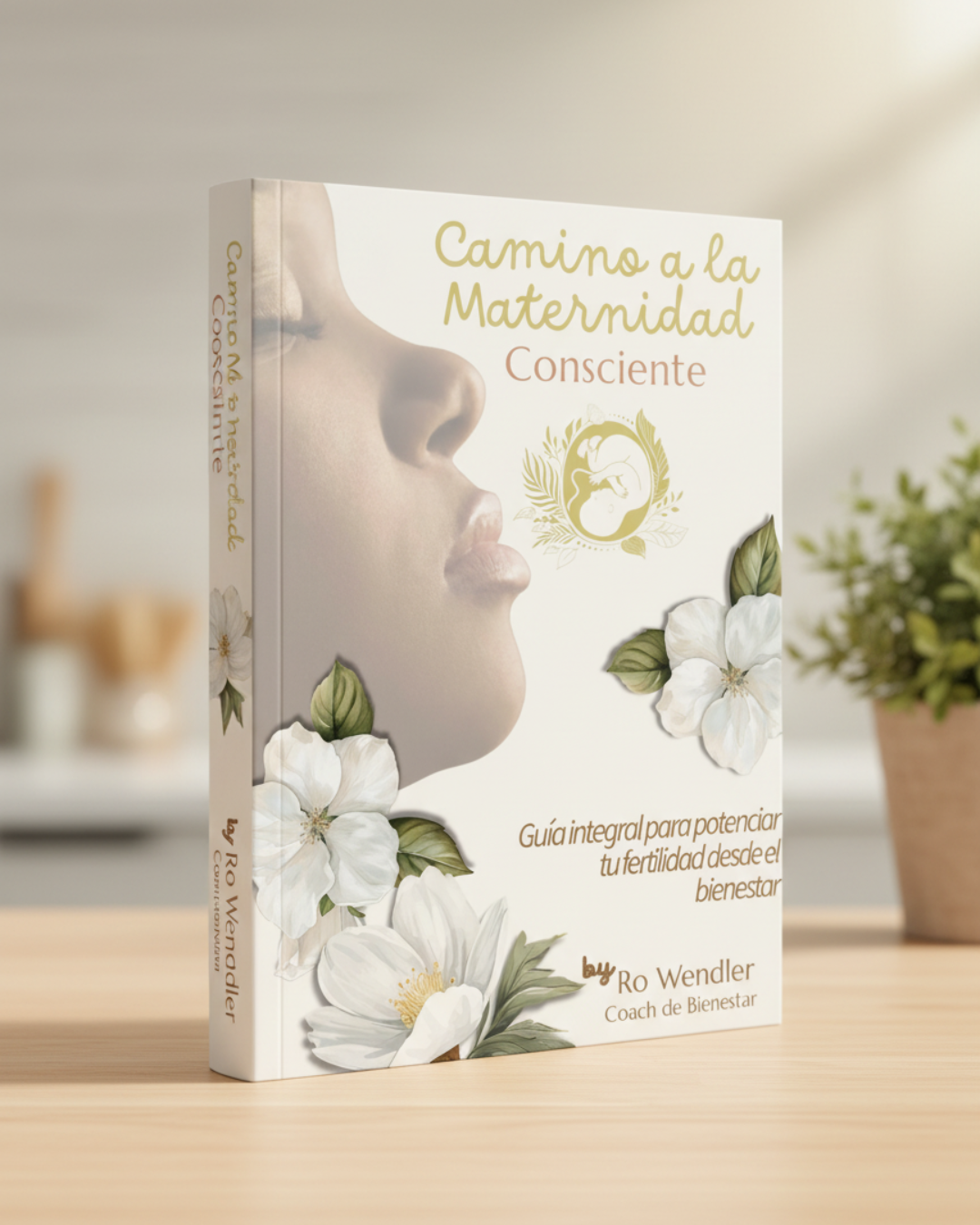 Camino a la maternidad Consciente
